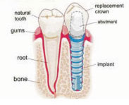Dr. Karol's Dental Clinic